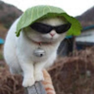 Meet your Posher, Edith